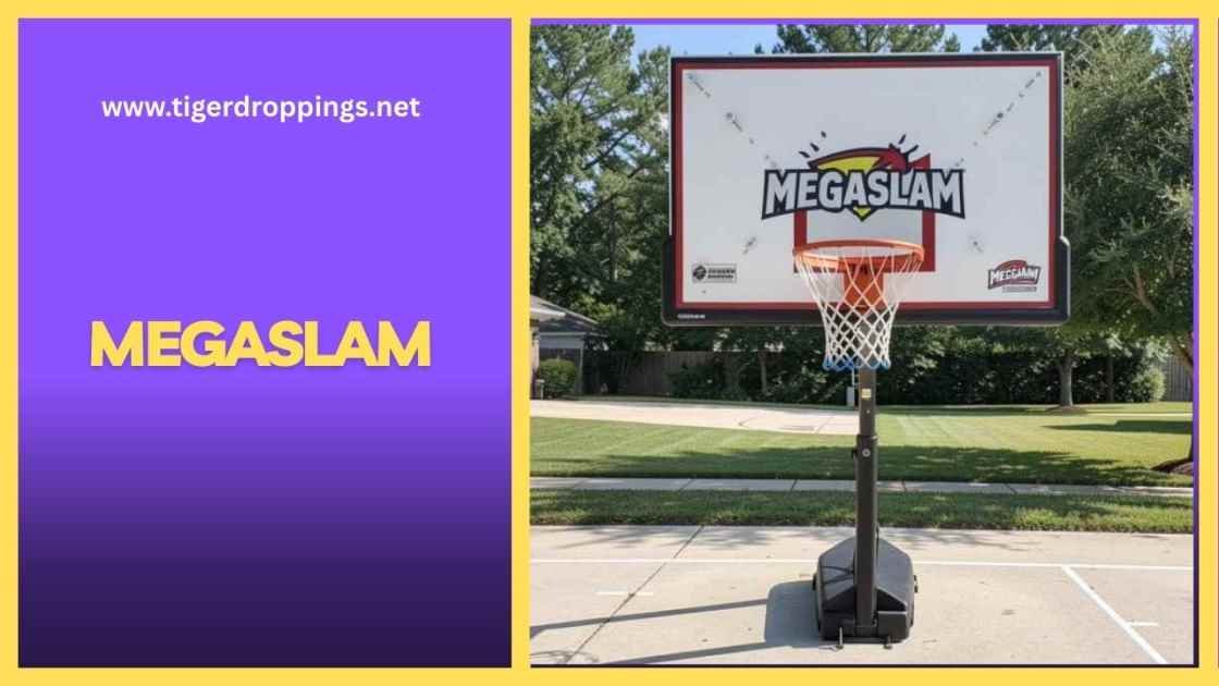 megaslam